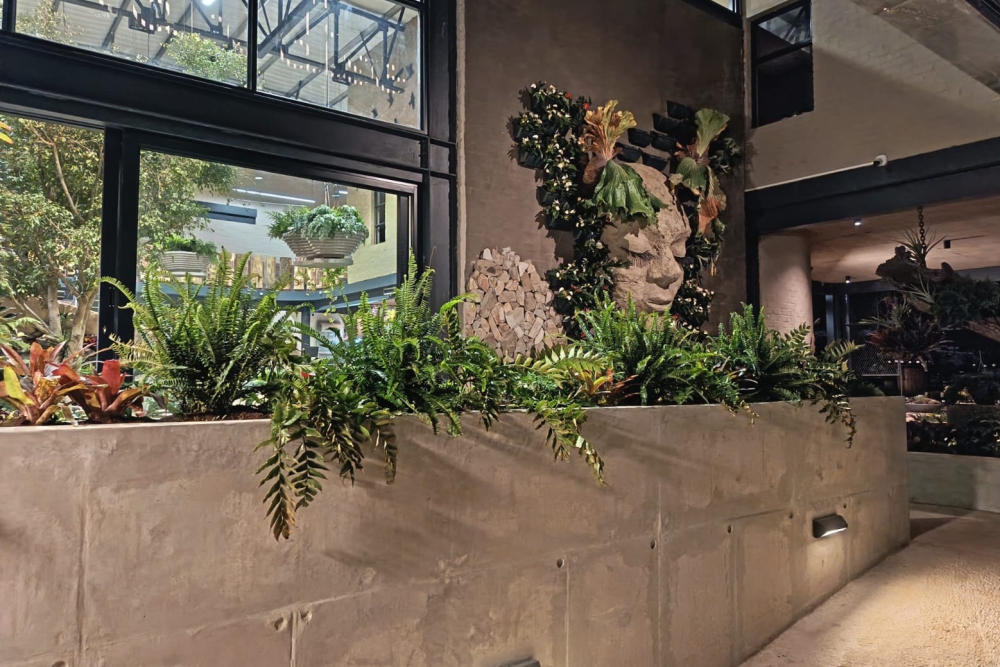 PLANT PARADISE