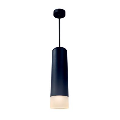 Sudo Pro Pendant